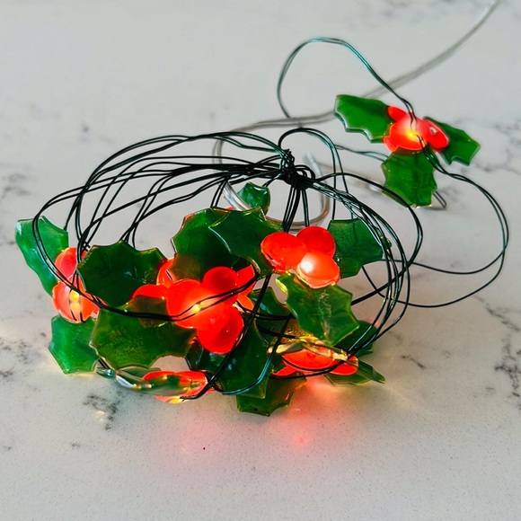 Pier 1  Holly Glimmer 5' LED  String lights - Picture 7 of 15